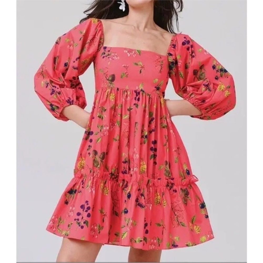 NWT Cara Cara Floral Pink Dress